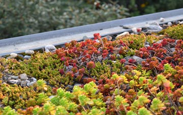 the cost of Seighford green roof installation