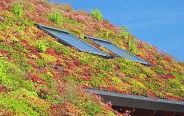 Seighford living roof systems